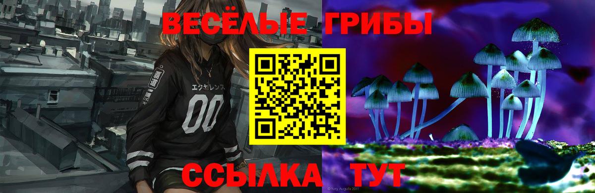 Галлюциногенные грибы Cubensis Новотроицк